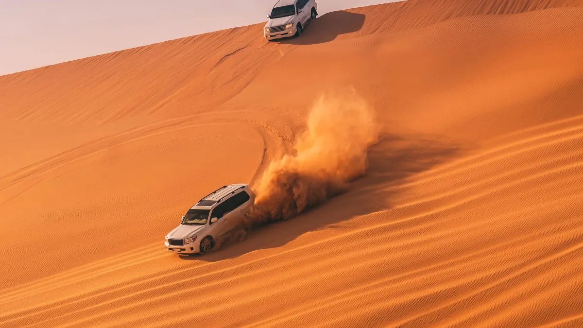 Premium Evening Desert Safari with BBQ & Live Shows